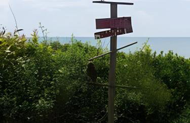 Casa | Ponta da Fruta | Praia, Lagoa, Lazer - Photo 38