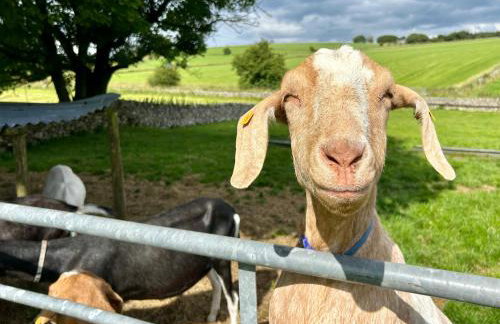 Dover Barn - Foto 17