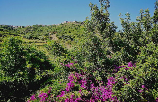 La Tinaia Country House - Photo 24