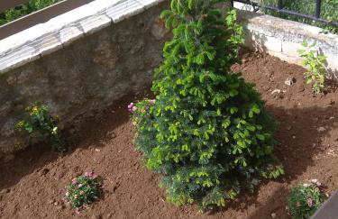 Angelic in the mountains - Foto 23