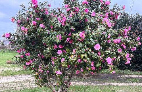 Hent Ar Mor - Elégante Demeure Trébeurden - Foto 17