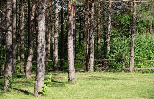 Timber valley - Foto 58