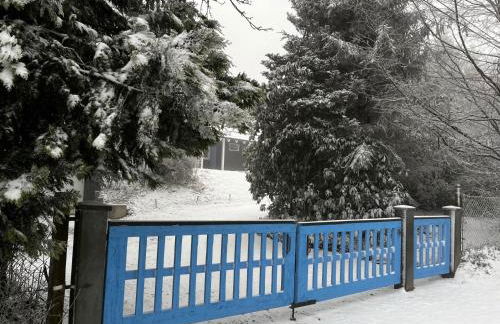 Ferienhaus Waldsiedlung - Foto 11