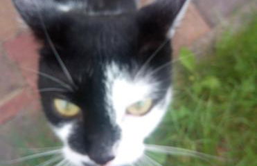 Ferienwohnung Rickyy - Foto 1