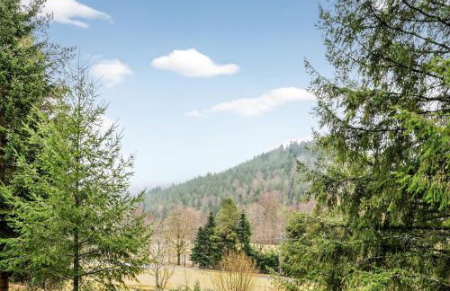 KRelax Black Forest - 3 Bedrooms - 6 Guests - Terrace - Parking - Smart TV - Near Thermal Baths - Nature - Foto 6