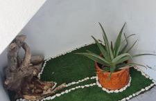 Refúgio das Regadinhas - Foto 23