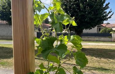 Gite Vigne - stay on a vineyard, overlooking the vines in this 2 bedroomed gite - Foto 27