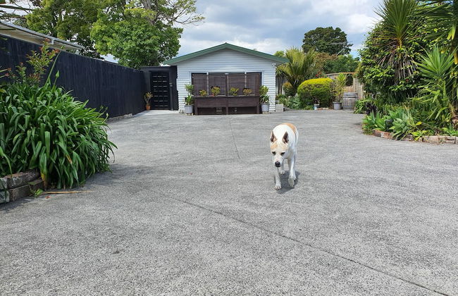 Alice House - Photo 32