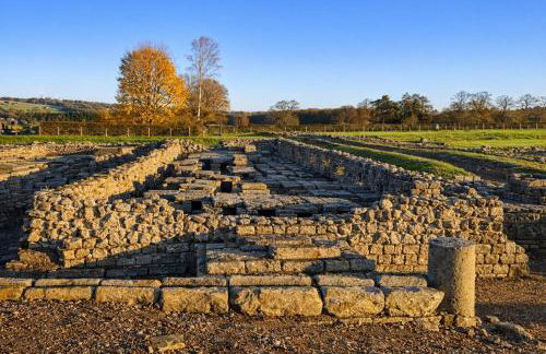 Market View 1 - Foto 8