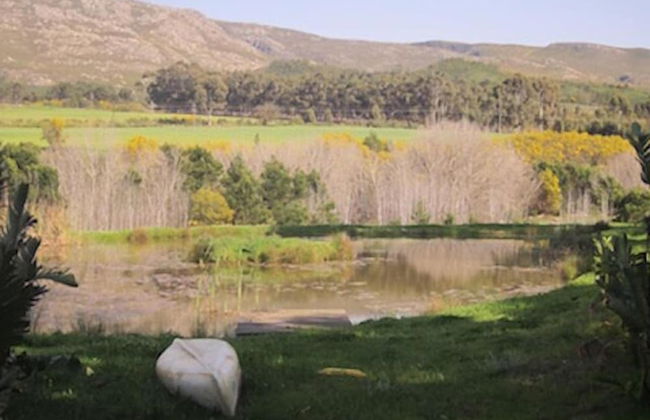 Swaynekloof Farm - Photo 38