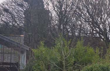 Orkneyinga - Foto 16