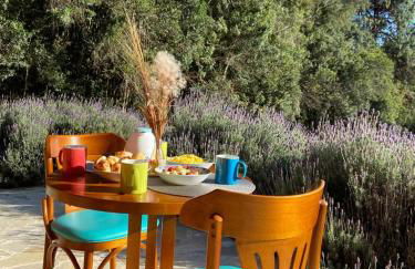 Chalé do Portal - Foto 22