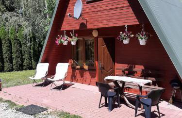 Domki nad potokiem w Baligrodzie - Foto 1