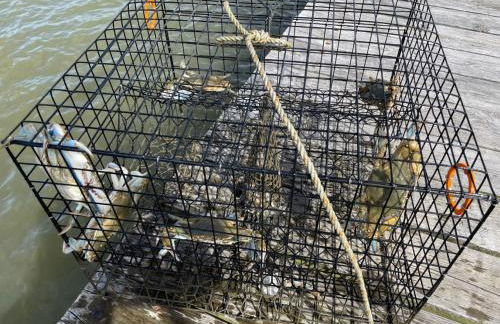 Lighthouse Haven - Foto 21