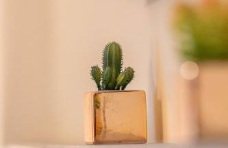 Cottage Apartment - Foto 28