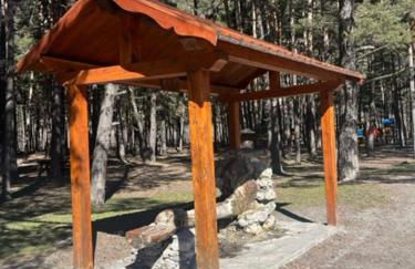 Bolla's House - Photo 3