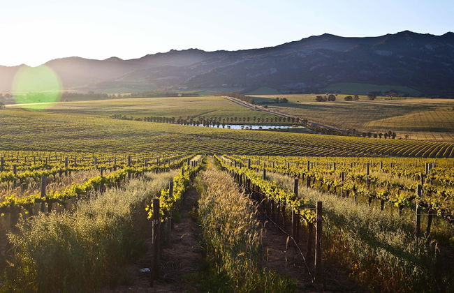 Denneboom Vineyards and Wildlife - Foto 48