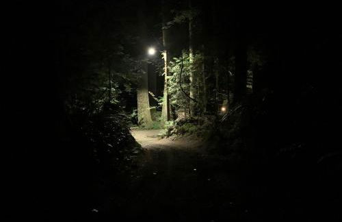Secluded Forest Cabin in Rhododendron near Mt Hood Village in Oregon - Foto 14