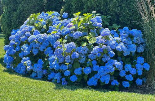 Stunning luxury Retreat I Wineries & Fall Farm Fun - Photo 42