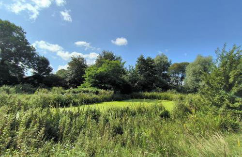 Ferienwohnung Marx - Urlaubstraum im Grünen Binnenland - Foto 21