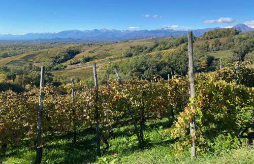 Savorgnan 1593 - Foto 28