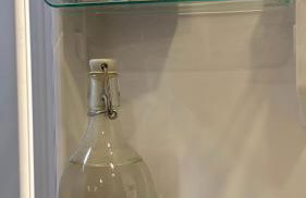 Lanzas Beach - Photo 25