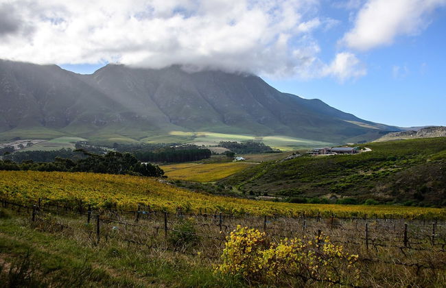 Clouds End Farm - Photo 1