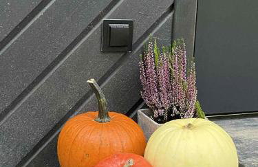 elements - Solina, z sauną - Foto 47