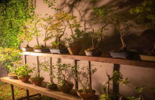 Il Giardino Segreto - Foto 33