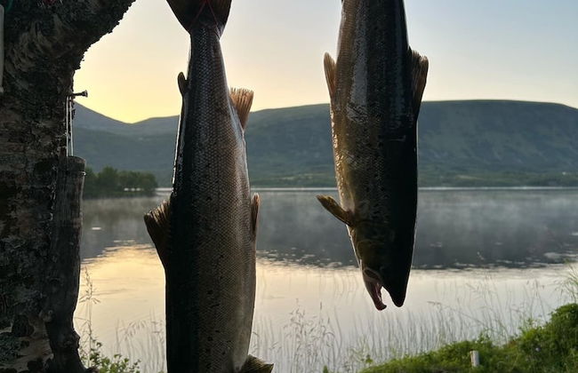 Bleik Sea Cabins - Foto 19