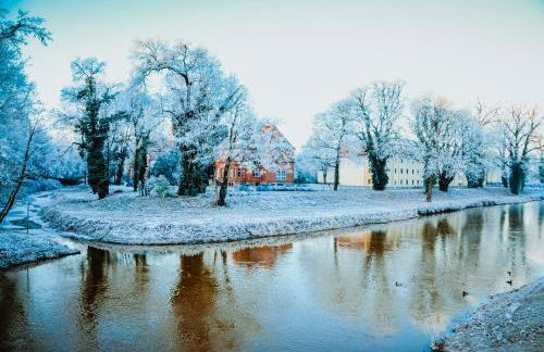 Ferienwohnungen am Markt - Der Sachsenhof - Foto 33