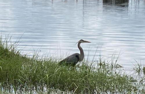 Piney Point Harbor Haven - Foto 31