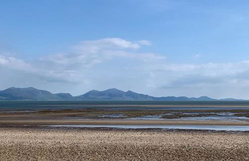 Pen Braint - Foto 26