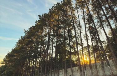 Chácara dos Pinheiros, 5 quartos em Atibaia divisa com Bragança Paulista - Foto 66