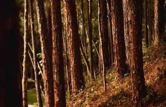 Casas Serranas - Villa Casa Blanca - Photo 25