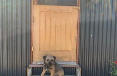 Shepherds Hut with Scandinavian Hot Tub and hydromassager - Foto 37