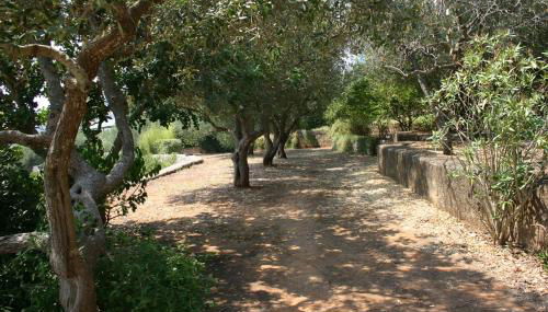 Appartamento in Villa Fortunata TERRA - Foto 3