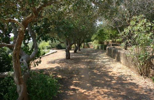 Appartamento in Villa Fortunata TERRA - Foto 3