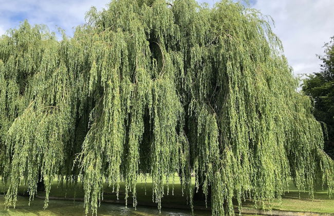 Superb Apartment With Sky Glass TV and Netflix - Foto 26