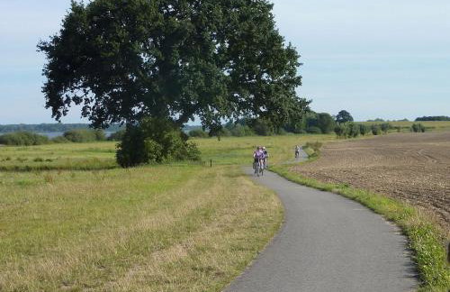 Müritzbrise 3 - Foto 19