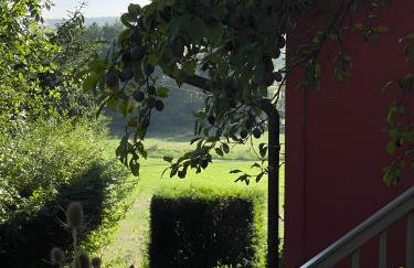 Mohnrot - Fulgenhaus - Foto 10