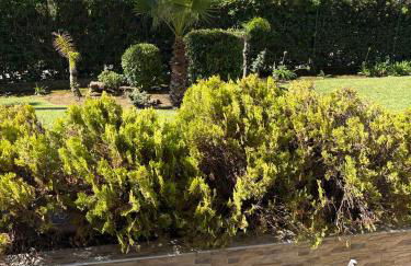 LaRomanaMarbella punto es - Foto 27