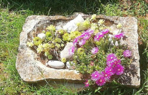 Mala kuća sa velikim grijanim bazenom ANTONIO - Foto 40