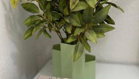 Villa Harmony - Photo 2