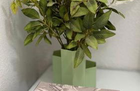 Villa Harmony - Foto 6