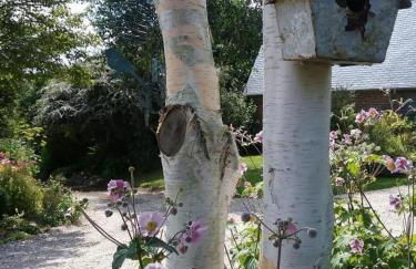 Gîte Gîtes de France® - Le Nid d'Hirondelles - Foto 29