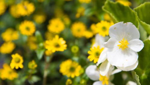 Gästehaus Herb - Photo 5