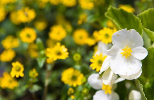 Gästehaus Herb - Photo 5