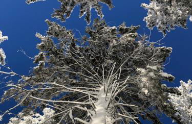 Ferienhaus Mathilda Eins - Foto 15