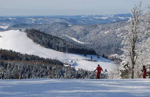 RELAX CHALET Nature Retreat - isolé sur 3 hectares - confort de LUXE - maison entière 150m2 - près de La Bresse - Foto 64